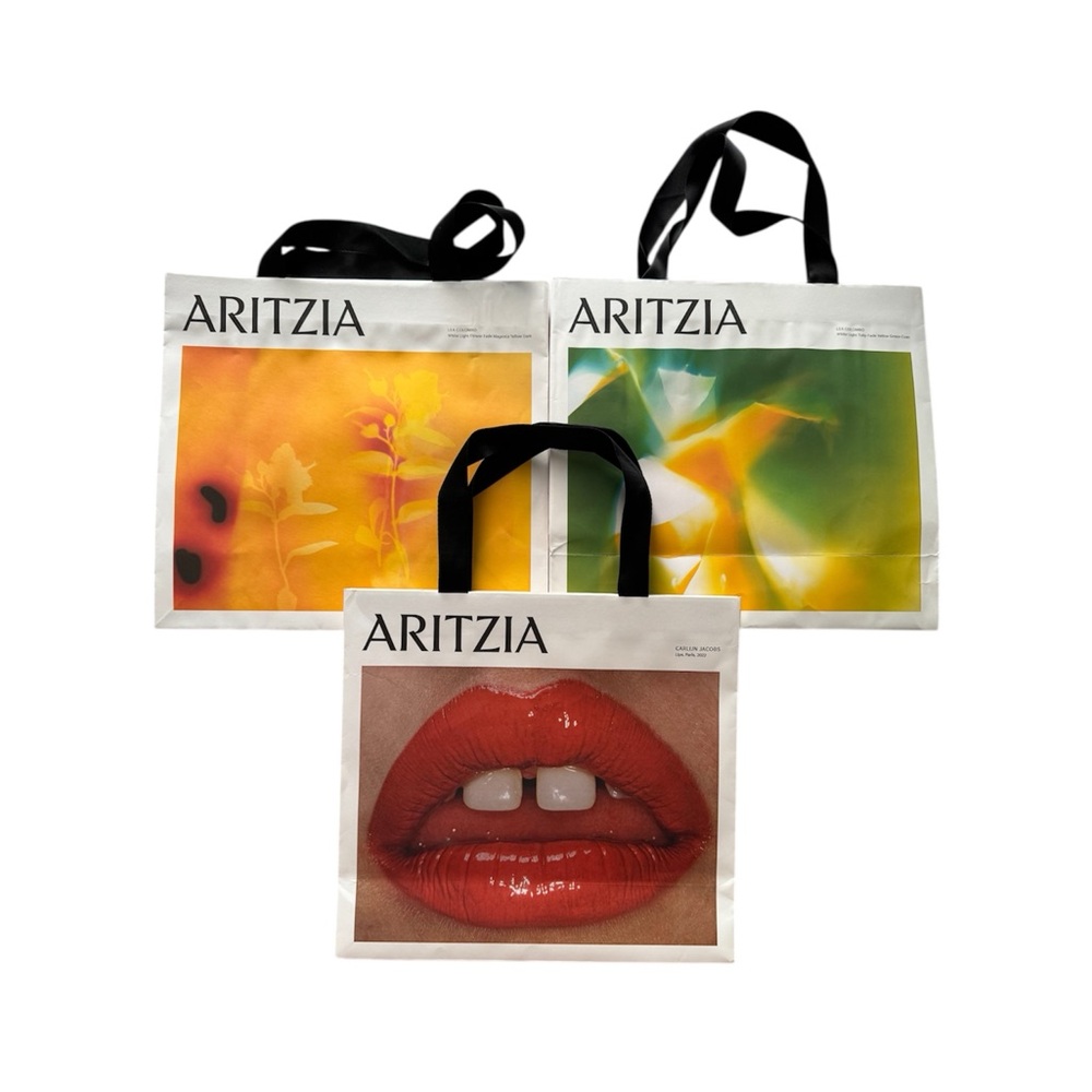 3 Aritzia Bags